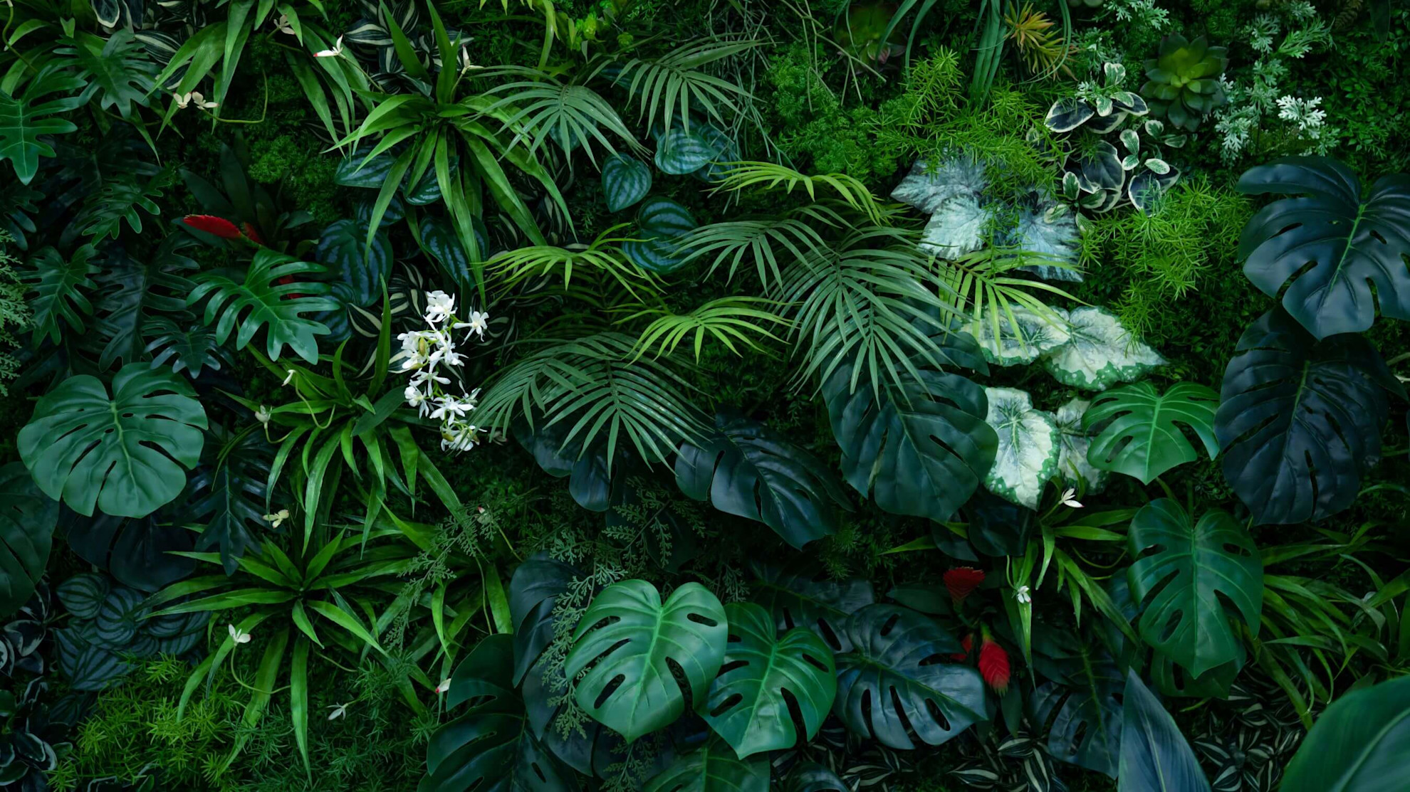 Green foliage