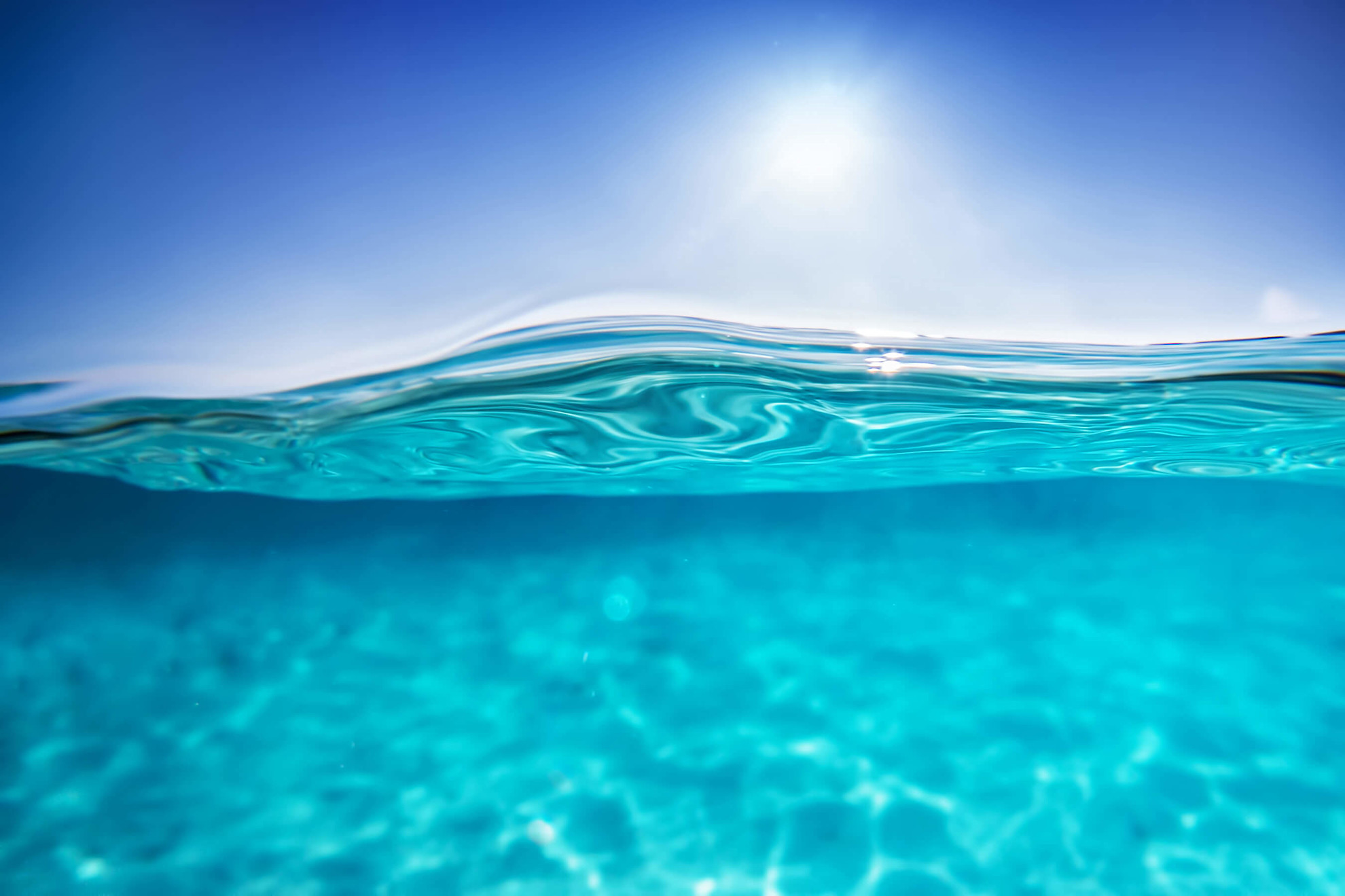 Brittany ferries and the environment: Dolphin