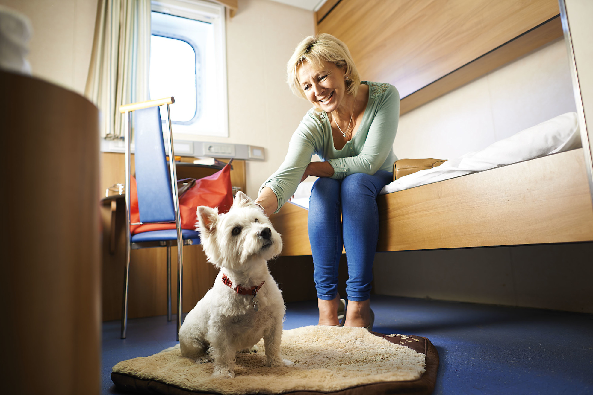 Pet friendly cabin on Etretat