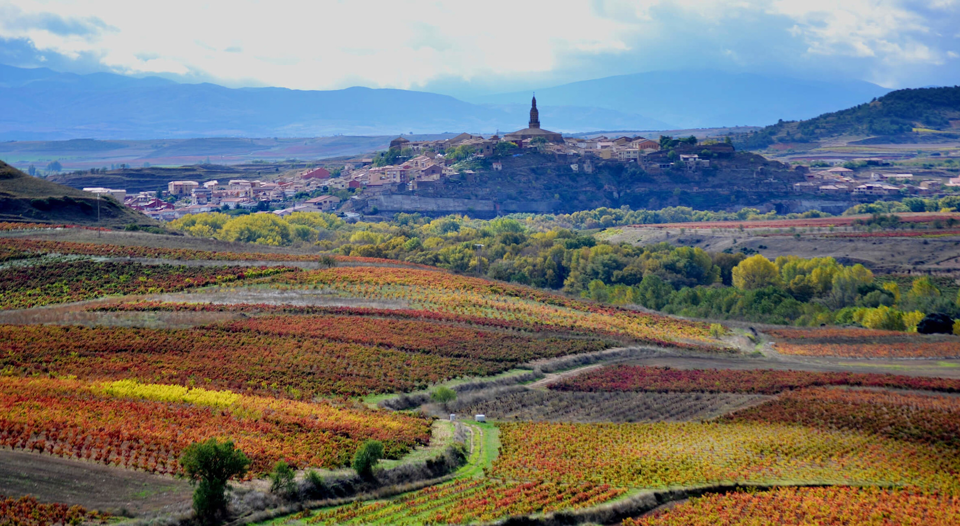 Village of Haro, La Rioja